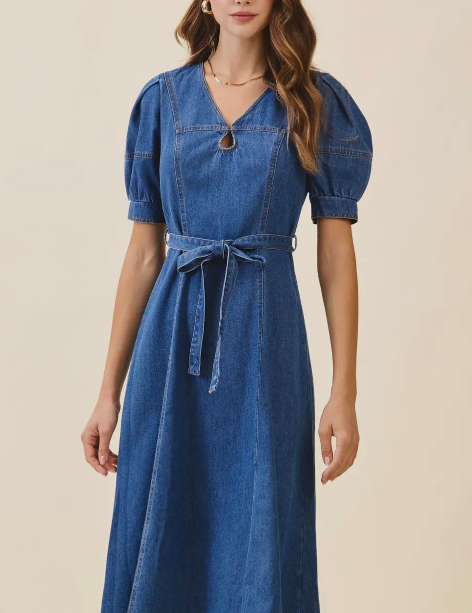Sevyn Puff Sleeve Midi Dress