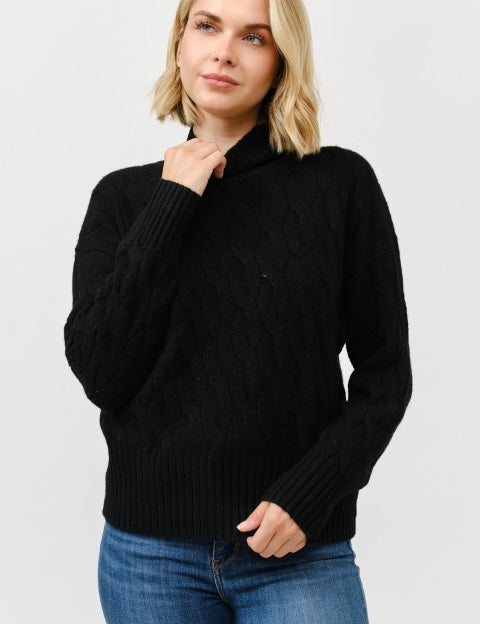 Nyomi Cable Knit Turtle Neck Pull Over Sweater