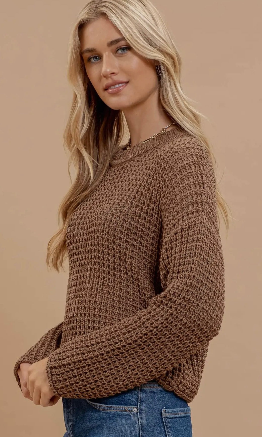 Hazlett Mocha Sheer Crew Neck Crochet Knit Sweater
