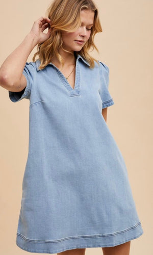 Dru Collared Denim Shift Dress