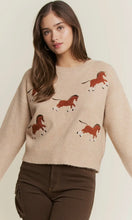 Rene Five Horses Sweater