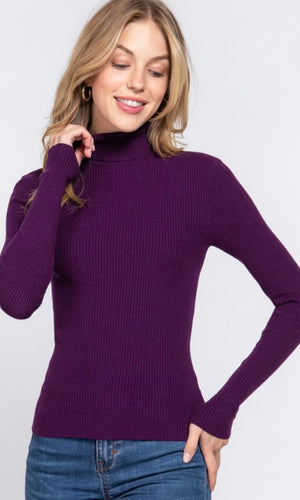 Cambria Purple Turtle Neck Fitted Rib Knit Sweater Top