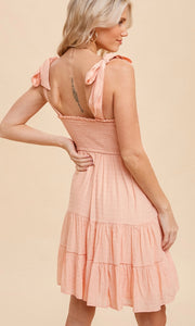Amalie Apricot Pink Smocked Mini Dress