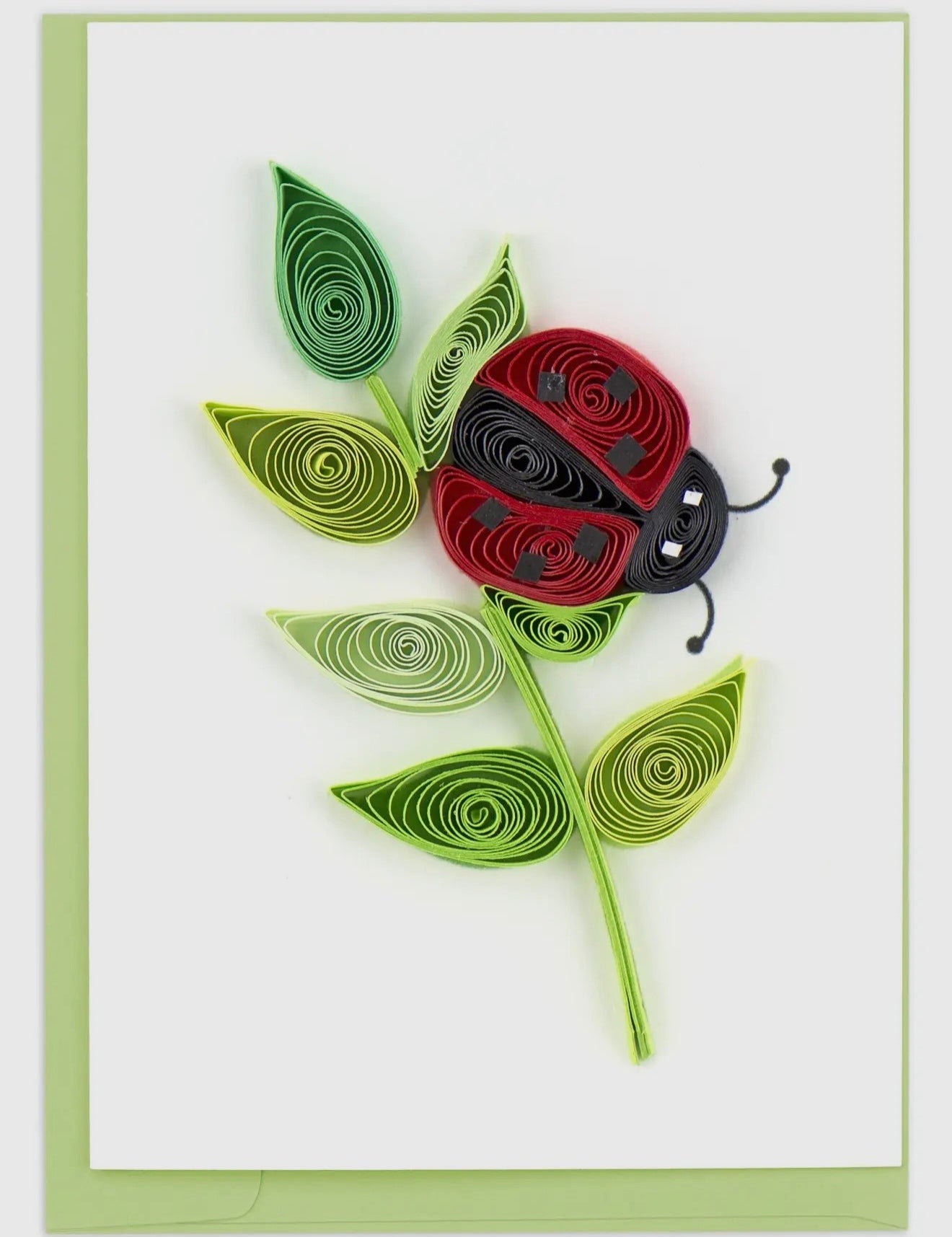 Quilled ladybug and leaves on a white card with green border