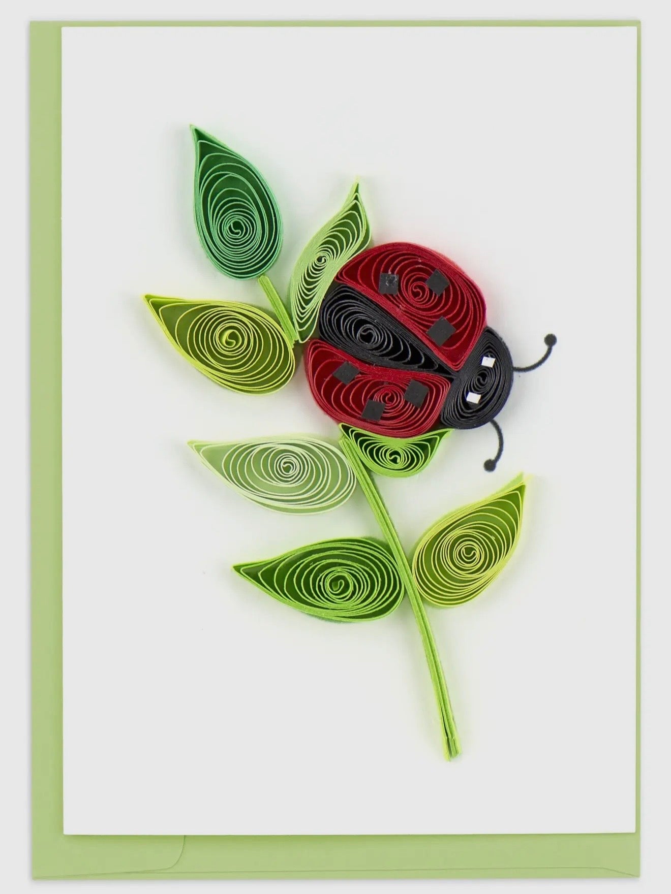 Quilled ladybug and leaves on a white card with green border