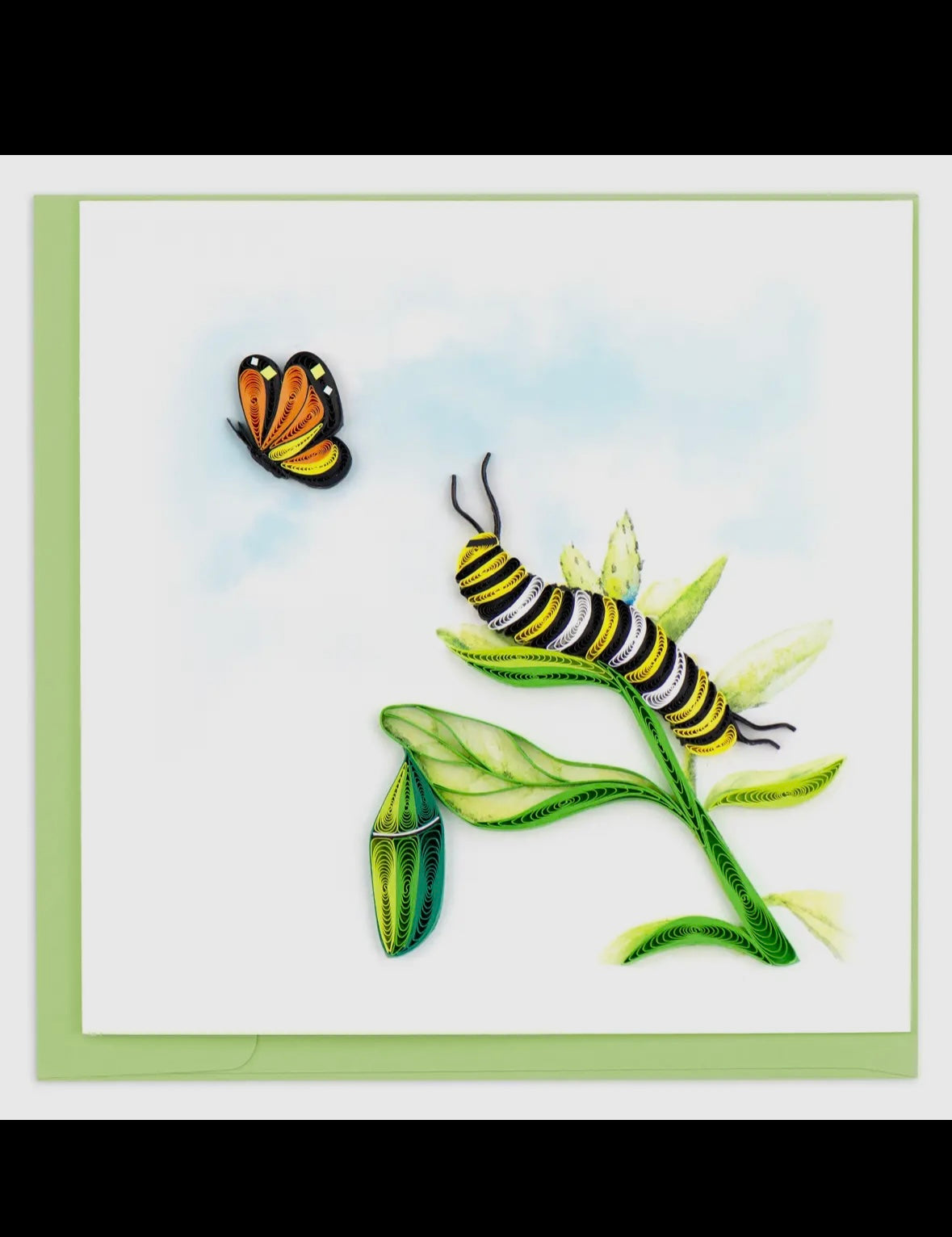 Illustration of a caterpillar on a leaf with a butterfly above, framed by a green border.
