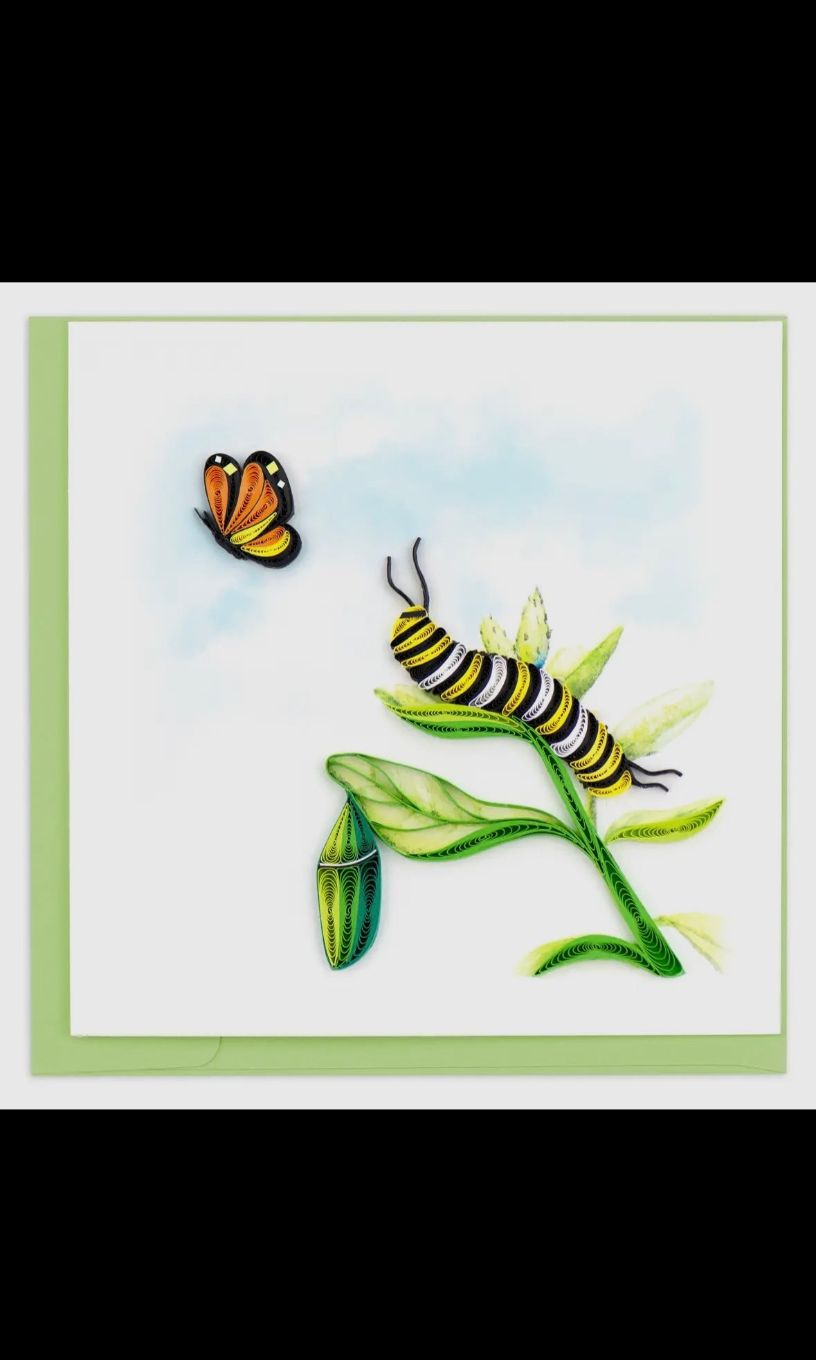 Illustration of a caterpillar on a leaf with a butterfly above, framed by a green border.