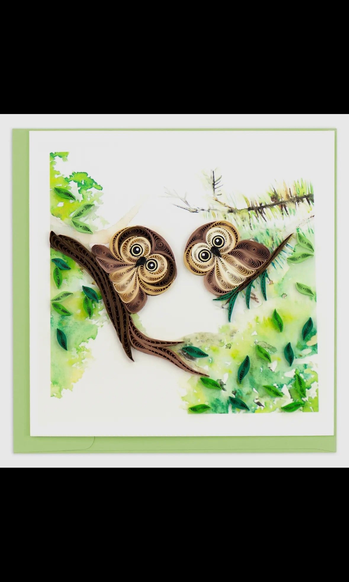 Two owls on a branch with green leaves in the background