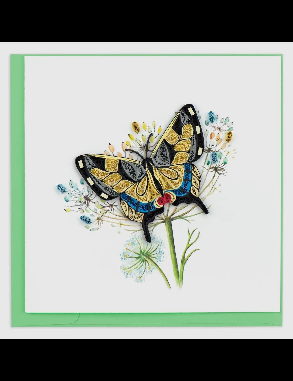 Butterfly on a flower with a green border